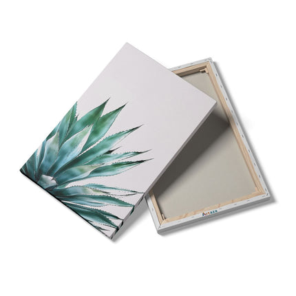 Canvas schilderij details Agave Plant op een Witte Achtergrond