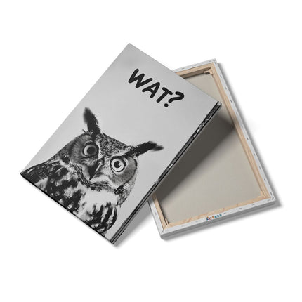 Canvas schilderij details Uil met een Vraagteken op zijn Gezicht