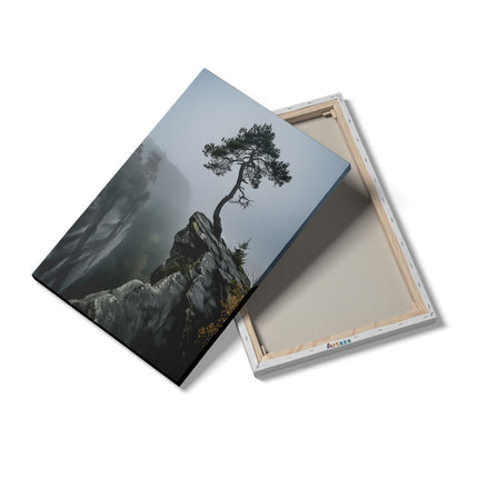 Canvas schilderij details Eenzame Boom aan de Rand van een Klif