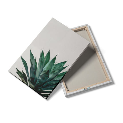 Canvas schilderij details Groene Agave Plant op een Witte Achtergrond