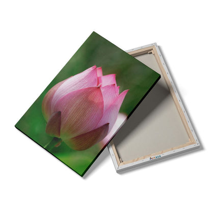 Canvas schilderij details Roze Lotusbloem