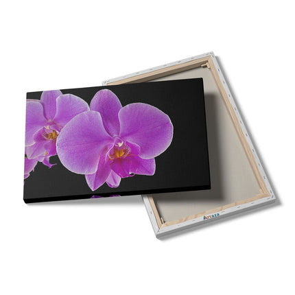Canvas schilderij details Licht Paarse Orchidee - Bloem