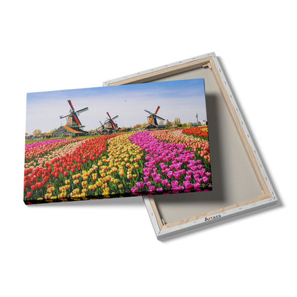 Canvas schilderij details Kleurrijke Tulpen Bloemenveld - Windmolen