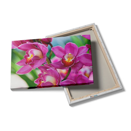 Canvas schilderij details Licht Paarse Orchidee Bloemen 