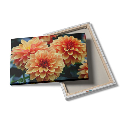 Canvas schilderij details Oranje Dahlia Bloemen 