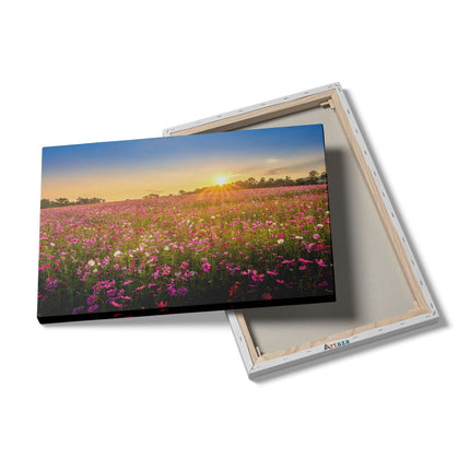 Canvas schilderij details Bloemenveld Met Roze Kosmos 