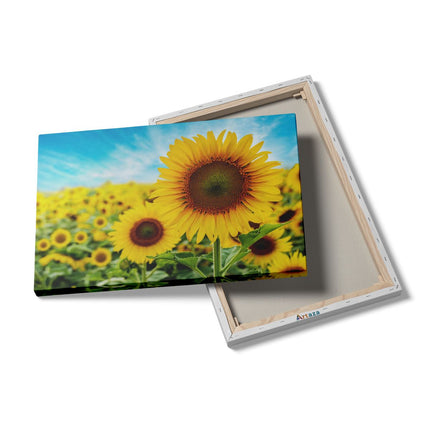 Canvas schilderij details Zonnebloemen Veld 
