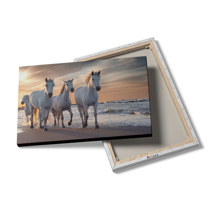 Canvas schilderij details Witte Paarden Op Het Strand Bij Water