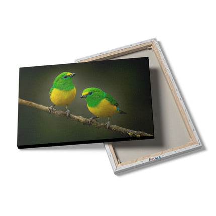 Canvas schilderij details Twee Groen Gele Zangvogels Op Een Tak