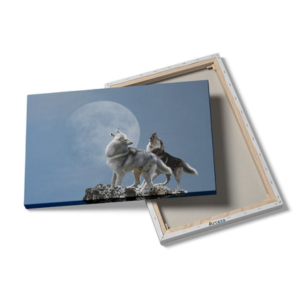 Canvas schilderij details Twee Wolven Die Huilen Tijdens Volle Maan