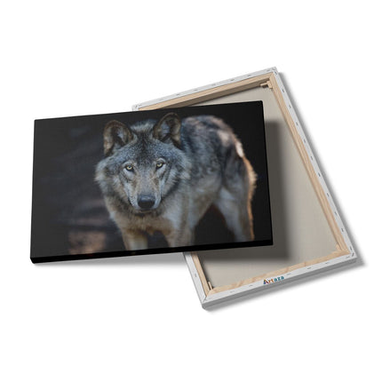 Canvas schilderij details Wolvenkop - Grijze Wolf