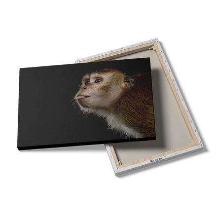 Canvas schilderij details Apenkop Met Zijn Tong Uit - Aap