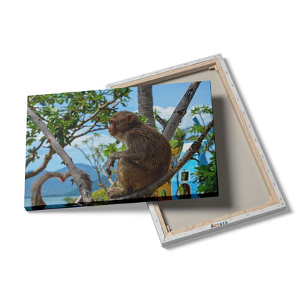 Canvas schilderij details Aap In De Boom