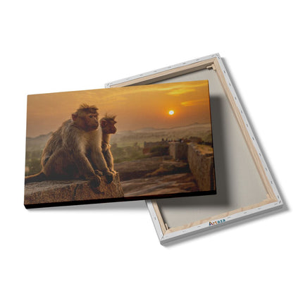 Canvas schilderij details Twee Apen Bekijken De Zonsondergang