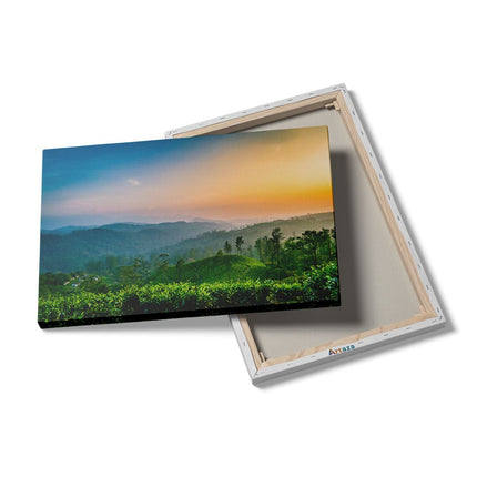 Canvas schilderij details Zonsondergang Op Een Thee Plantage 