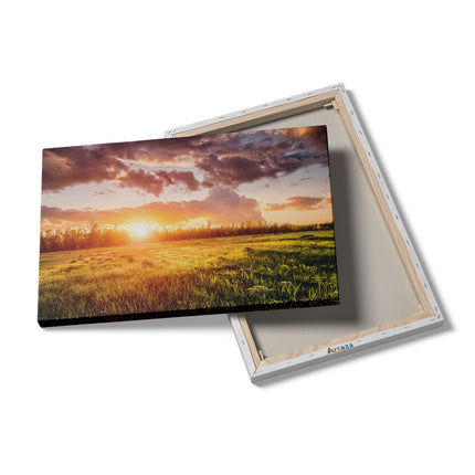 Canvas schilderij details Zonsopkomst In Het Veld