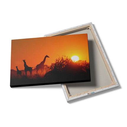 Canvas schilderij details Drie Giraffe Silhouetten Bij Zonsondergang