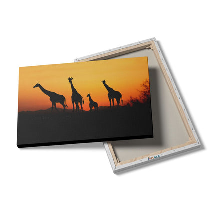 Canvas schilderij details Vier Giraffe Silhouetten Bij Zonsondergang