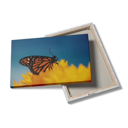 Canvas schilderij details Oranje Vlinder Bij Een Zonnebloem