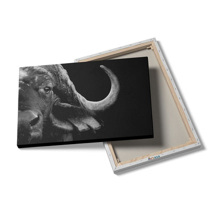 Canvas schilderij details Buffel - Buffelkop - Zwart Wit