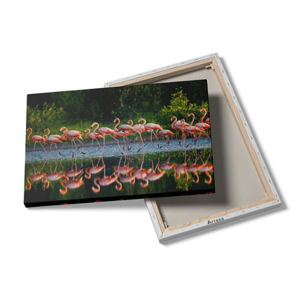 Canvas schilderij details Kudde Flamingo's op het Water