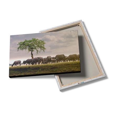 Canvas schilderij details Kudde Buffels bij een Boom
