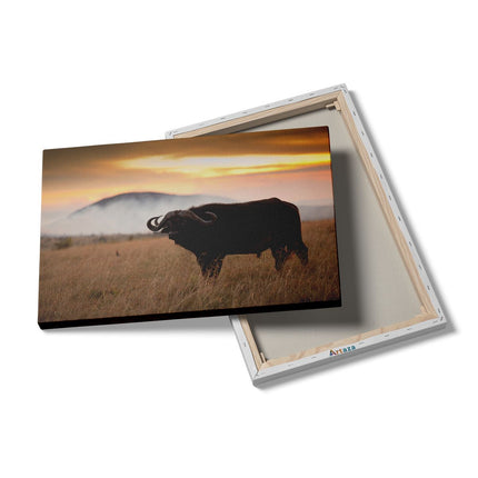 Canvas schilderij details Buffel in het Gras