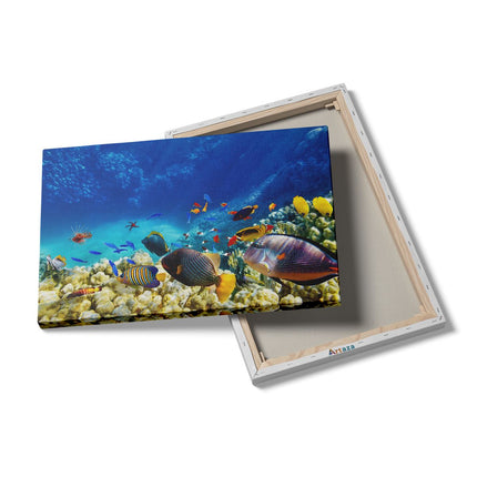 Canvas schilderij details Vissen in de Oceaan met Koralen