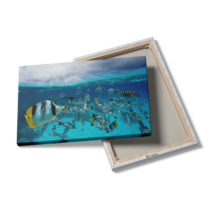 Canvas schilderij details Zwerm Gele Vissen in het Water