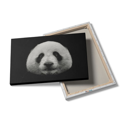 Canvas schilderij details Panda - Pandakop 