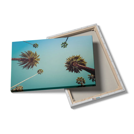 Canvas schilderij details Palmbomen met Bladeren in de Lucht