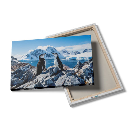 Canvas schilderij details Twee Pinguïns op Stenen in Antarctica