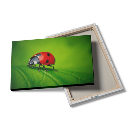 Canvas schilderij details Lieveheersbeestje op een Groen Blad 