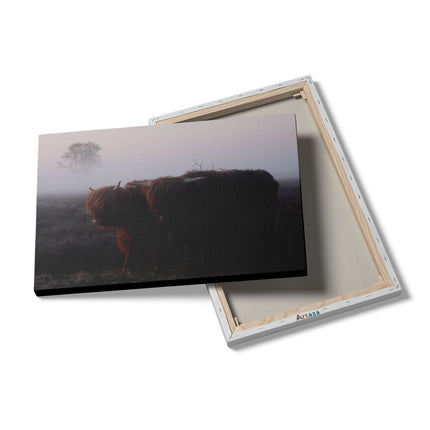 Canvas schilderij details Twee Schotse Hooglanders in de Mist