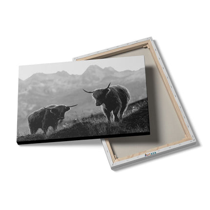 Canvas schilderij details Twee Schotse Hooglanders in de Bergen - Zwart Wit