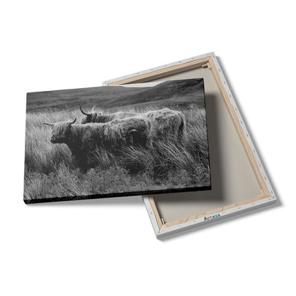 Canvas schilderij details Twee Schotse Hooglanders in het Heuvelvelachtige Veld - Zwart Wit