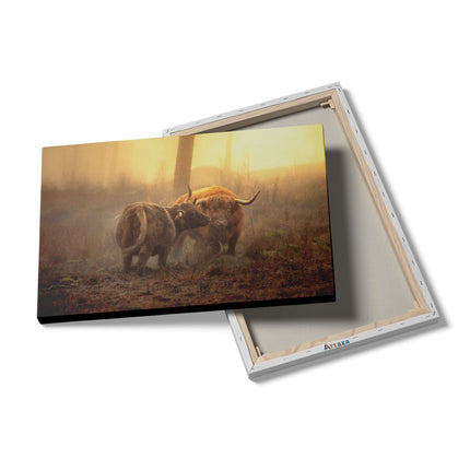 Canvas schilderij details Twee Schotse Hooglanders in de Mist