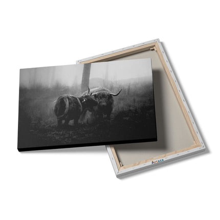 Canvas schilderij details Twee Schotse Hooglanders in de Mist - Zwart Wit