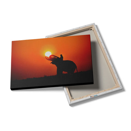 Canvas schilderij details Silhouet van een Olifant bij Zonsondergang