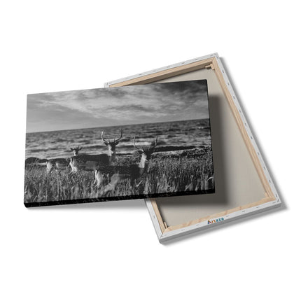 Canvas schilderij details Drie Herten aan de Zee tijdens Zonsondergang - Zwart Wit