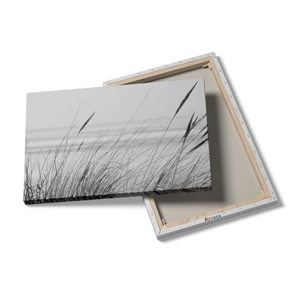 Canvas schilderij details Strand en Zee met Begroeiing - Zwart Wit