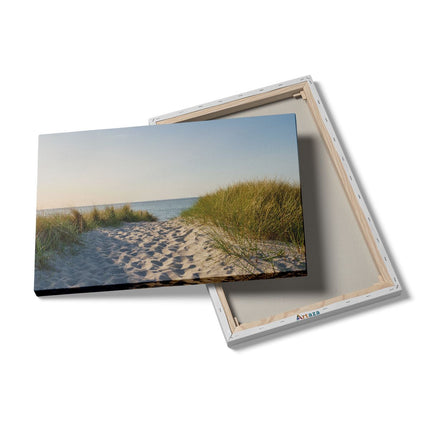 Canvas schilderij details Voetpad in de Duinen met Zon