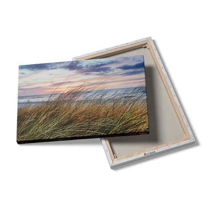 Canvas schilderij details Duinen Planten met Zee en Zonsondergang - Duinen