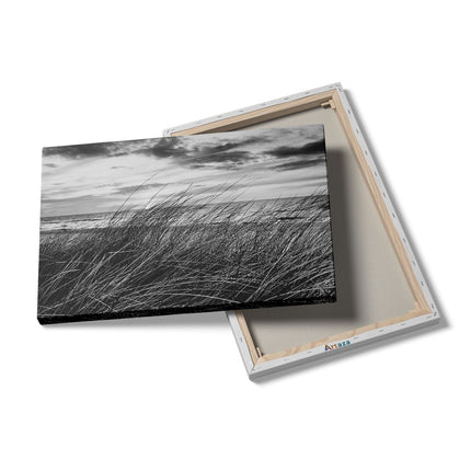 Canvas schilderij details Duinen Planten met Zee en Zonsondergang - Duinen - Zwart Wit