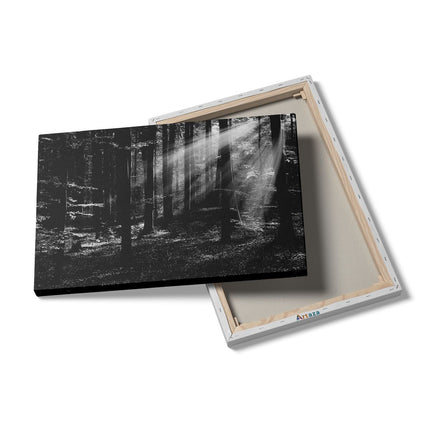 Canvas schilderij details Bos met Zon tussen de Bomen - Zwart Wit