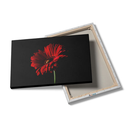 Canvas schilderij details Rode Gerbera Bloem 