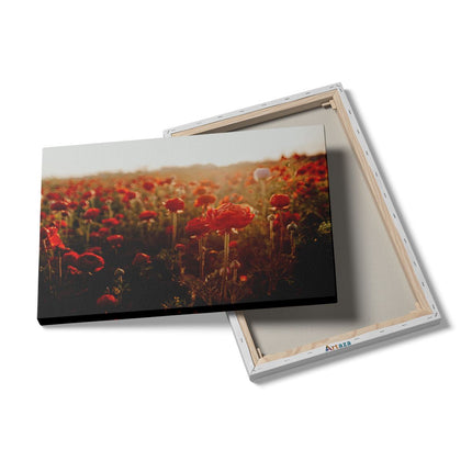 Canvas schilderij details Veld met Rode Bloemen