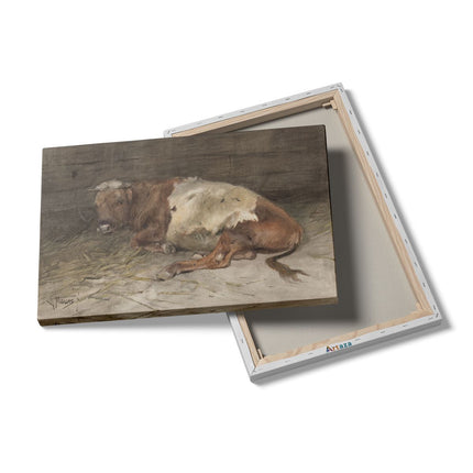 Canvas schilderij details Liggende Jonge Stier - Anton Mauve