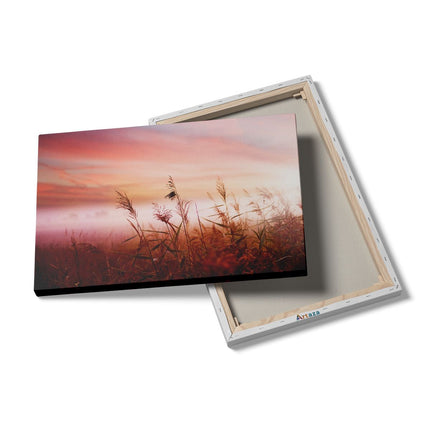 Canvas schilderij details Mistig Landschap in de Ochtend 