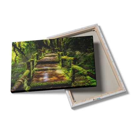 Canvas schilderij details Regenwoud Brug in Thailand